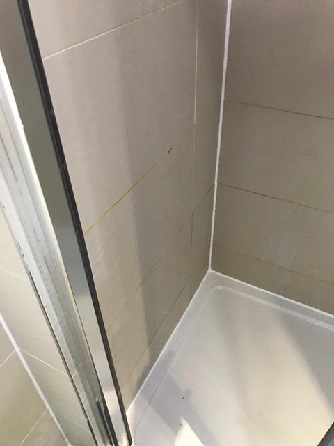 Shower Repair and Reseal in Surrey Quays